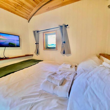 Romantic Nature Retreat, Luxury Glamping & Stargazing Views - Dragonfly Shepherd Hut Yarpole 外观 照片